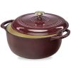 Cast-Iron Dutch Oven Kitchen Cookware,