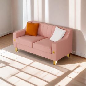 FX-P85-2S-PK (2 SEATS SOFA)Luxury pink Velvet Loveseat Sofa with Gold Accents - Modern 3-Seat Couch with Plush Cushions