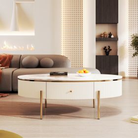 Modern Oval Coffee Table